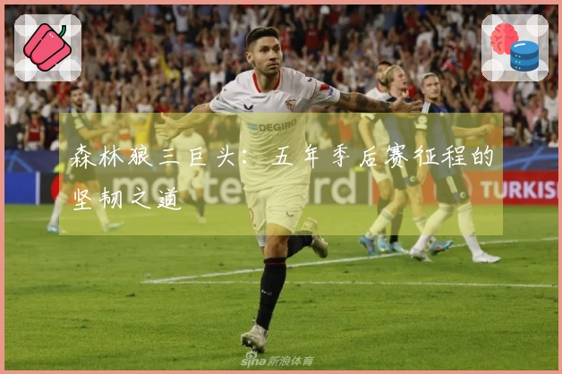 森林狼三巨头：五年季后赛征程的坚韧之道