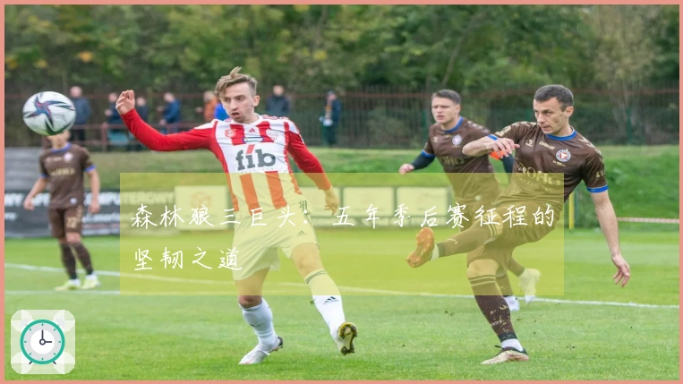 森林狼三巨头：五年季后赛征程的坚韧之道